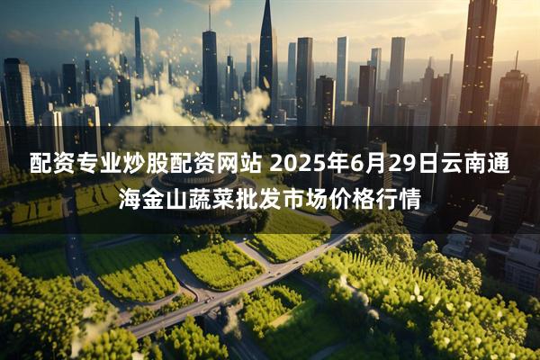 配资专业炒股配资网站 2025年6月29日云南通海金山蔬菜批发市场价格行情