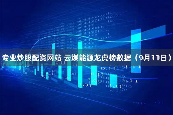 专业炒股配资网站 云煤能源龙虎榜数据（9月11日）